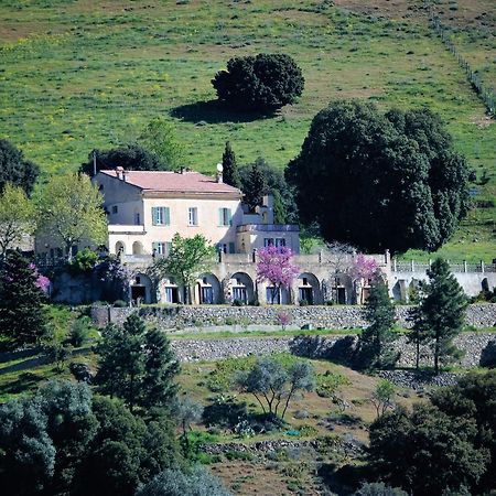 La Ventulella Bed & Breakfast Moltifao Exterior photo