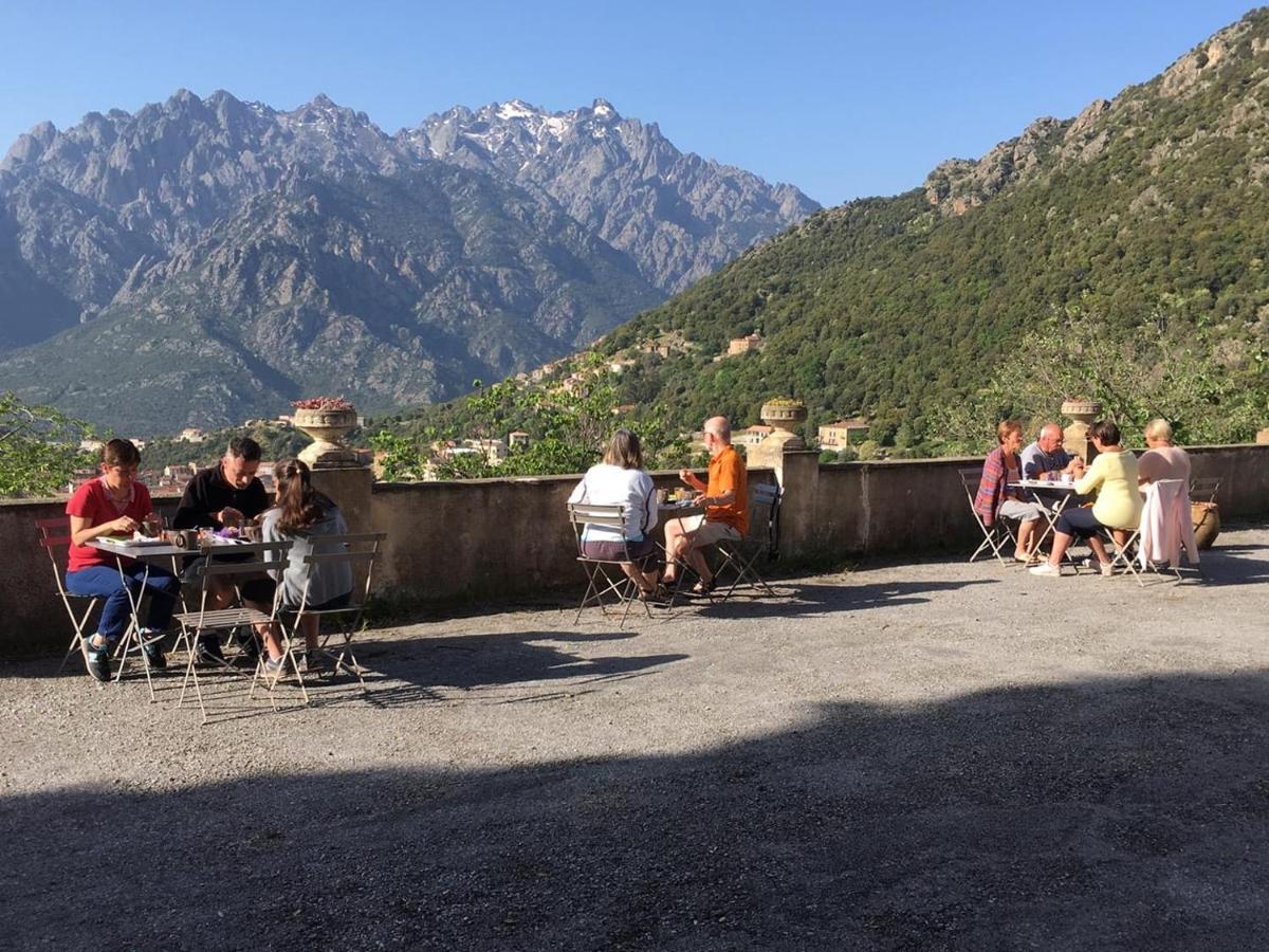La Ventulella Bed & Breakfast Moltifao Exterior photo