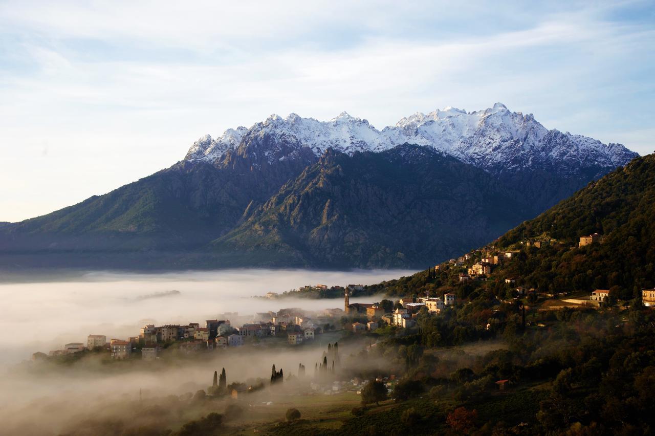 La Ventulella Bed & Breakfast Moltifao Exterior photo